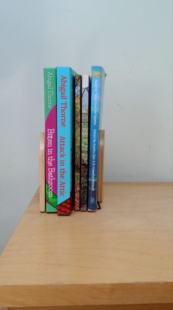 bookshelf931581177467630972